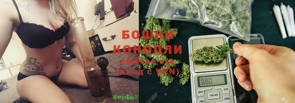 PSILOCYBIN Аркадак