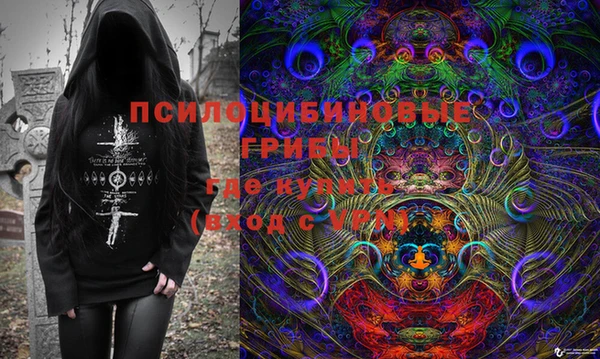 сатива Армянск