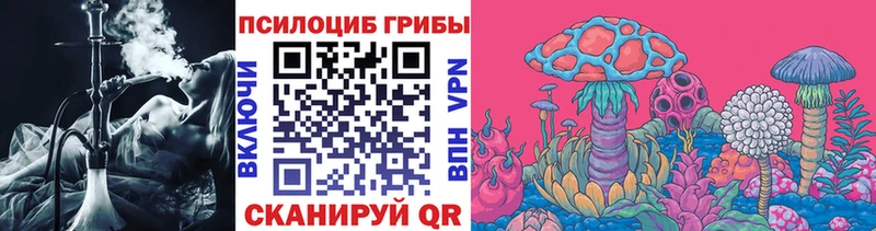 omg как войти  Мичуринск  Псилоцибиновые грибы Psilocybe 